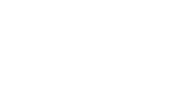 Cosme Pereira Transfer & Turismo